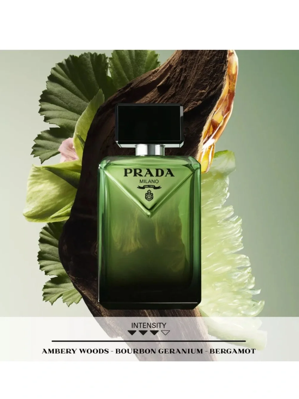 Prada nib 33oz